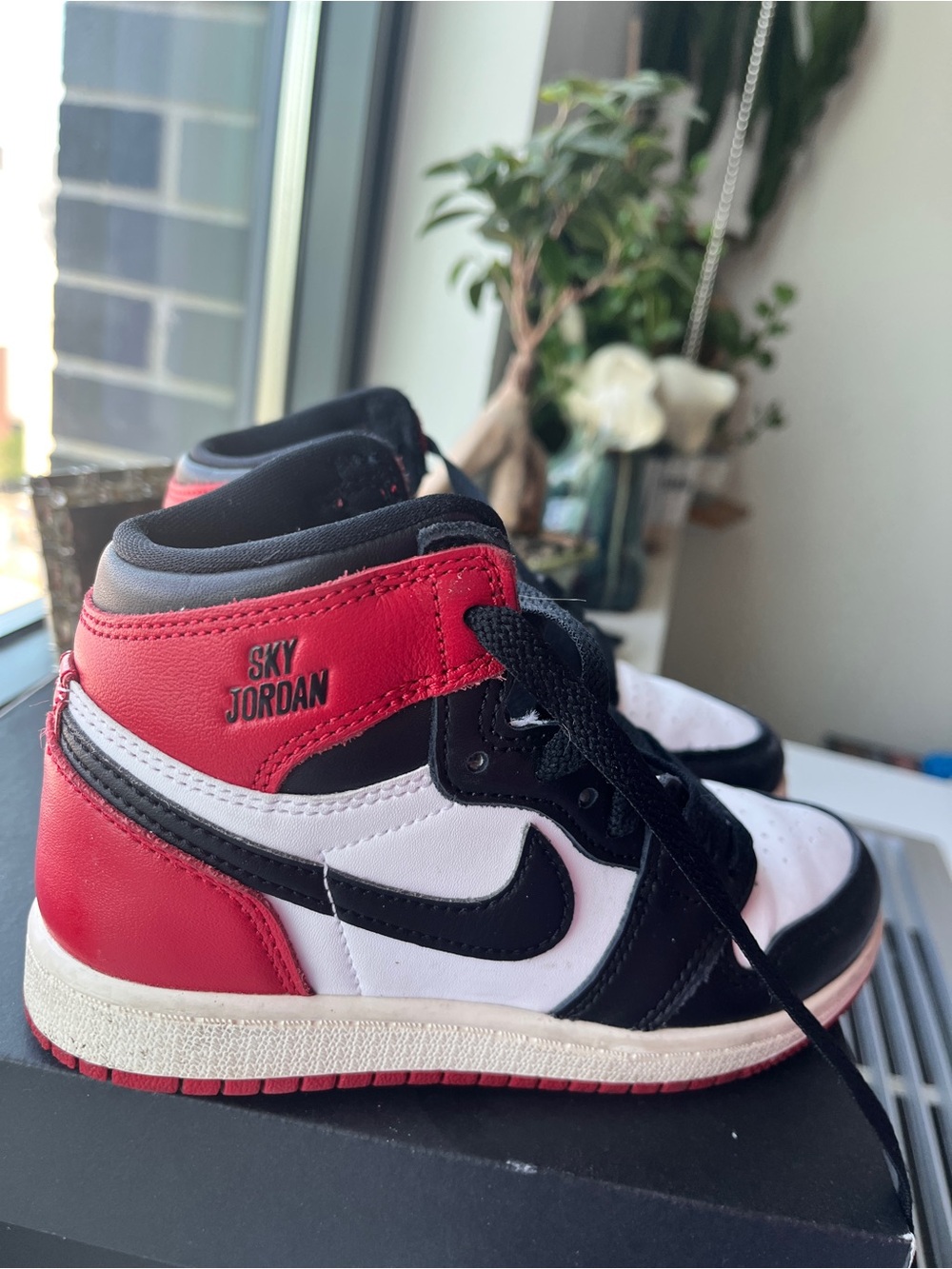 Nike Air Jordan Mid size 12.5c
